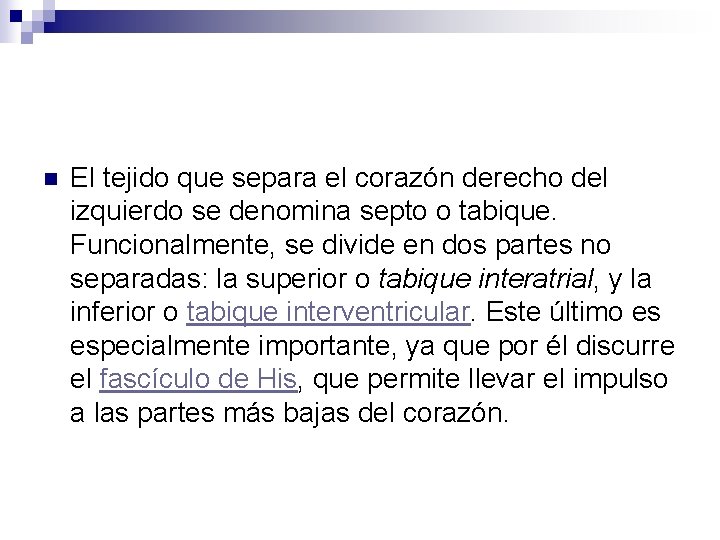 n El tejido que separa el corazón derecho del izquierdo se denomina septo o