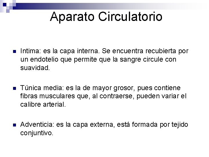 Aparato Circulatorio n Intima: es la capa interna. Se encuentra recubierta por un endotelio