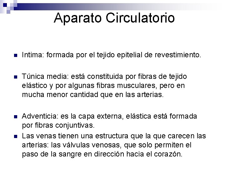 Aparato Circulatorio n Intima: formada por el tejido epitelial de revestimiento. n Túnica media: