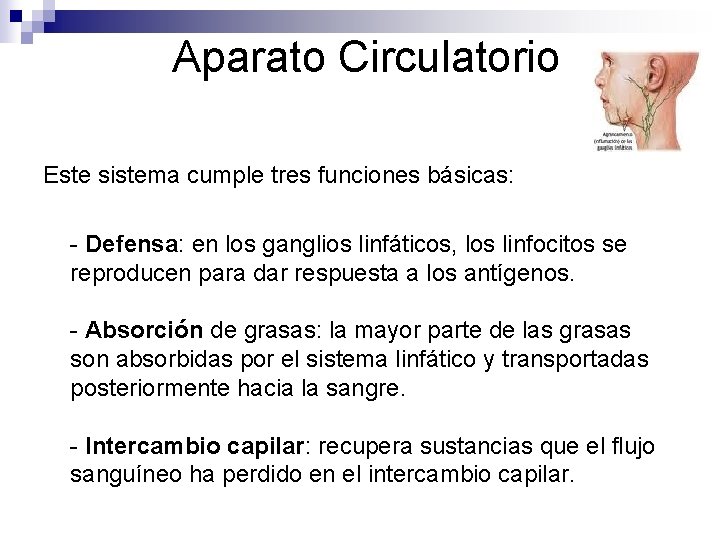 Aparato Circulatorio Este sistema cumple tres funciones básicas: - Defensa: en los ganglios linfáticos,