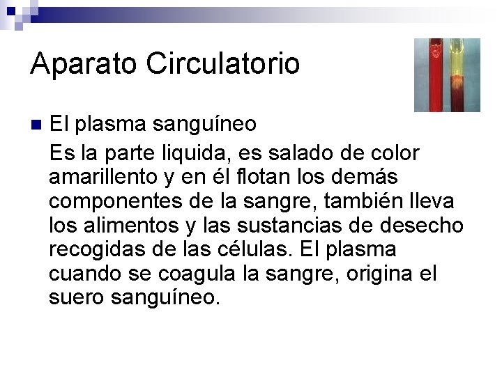 Aparato Circulatorio n El plasma sanguíneo Es la parte liquida, es salado de color