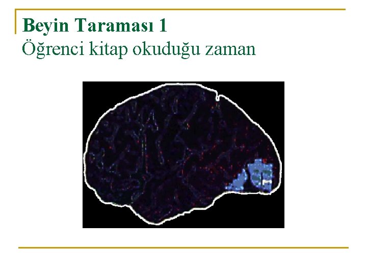 Beyin Taraması 1 Öğrenci kitap okuduğu zaman 