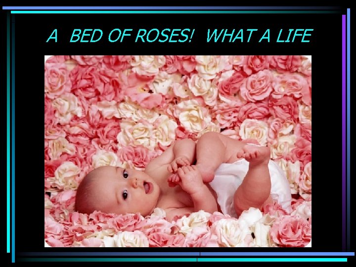 A BED OF ROSES! WHAT A LIFE 