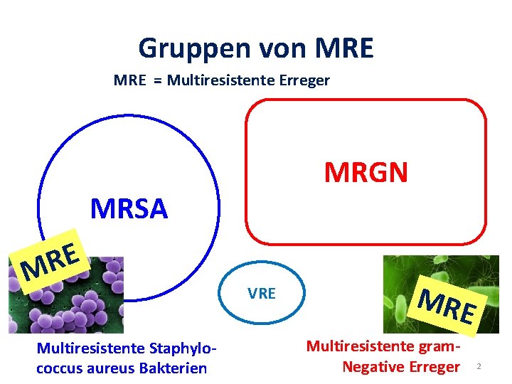 Gruppen von MRE = Multiresistente Erreger MRGN MRSA E R M Multiresistente Staphylococcus aureus