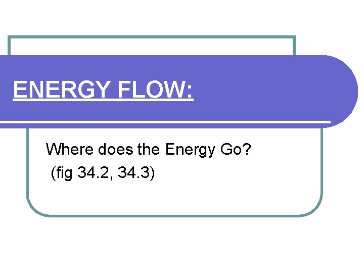 ENERGY FLOW: Where does the Energy Go? (fig 34. 2, 34. 3) 