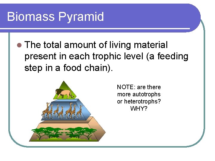 Biomass Pyramid l The total amount of living material present in each trophic level