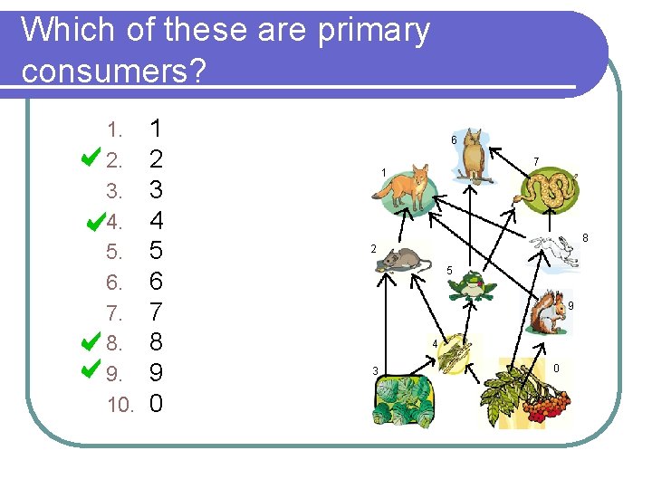 Which of these are primary consumers? 1. 2. 3. 4. 5. 6. 7. 8.