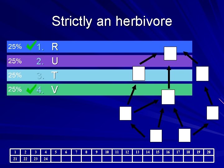 Strictly an herbivore 1. R T 2. U W S 3. T 4. V