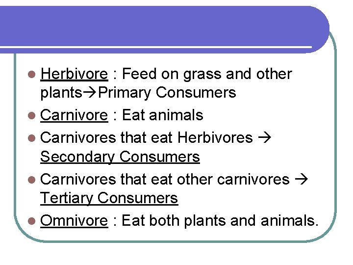 l Herbivore : Feed on grass and other plants Primary Consumers l Carnivore :