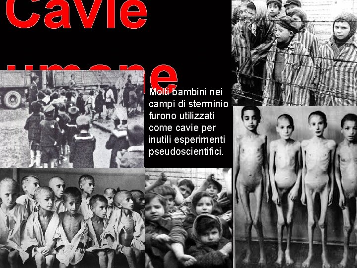 Cavie umane Molti bambini nei campi di sterminio furono utilizzati come cavie per inutili Cavie umane Molti bambini nei campi di sterminio furono utilizzati come cavie per inutili