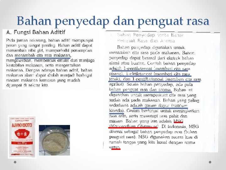 Bahan penyedap dan penguat rasa 