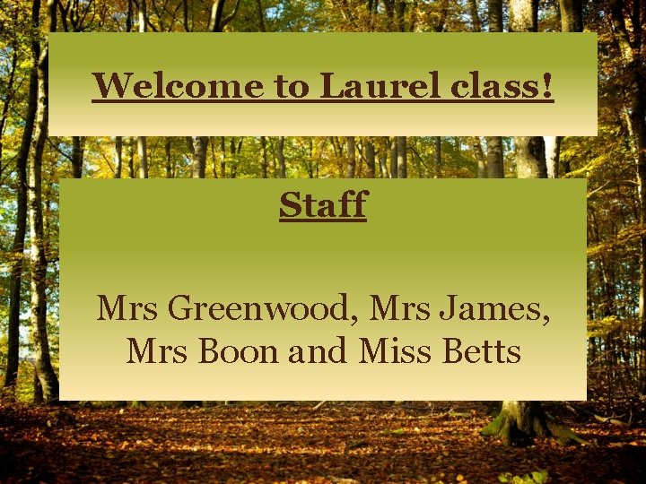 Welcome to Laurel class! Staff Mrs Greenwood, Mrs James, Mrs Boon and Miss Betts