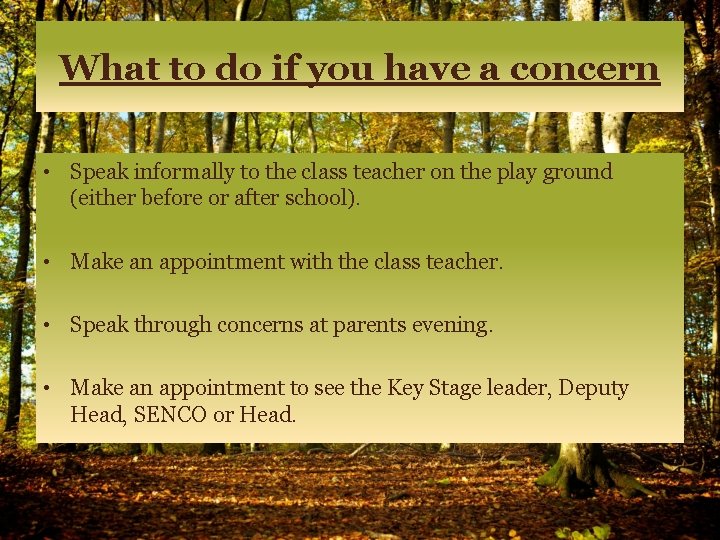 What to do if you have a concern • Speak informally to the class