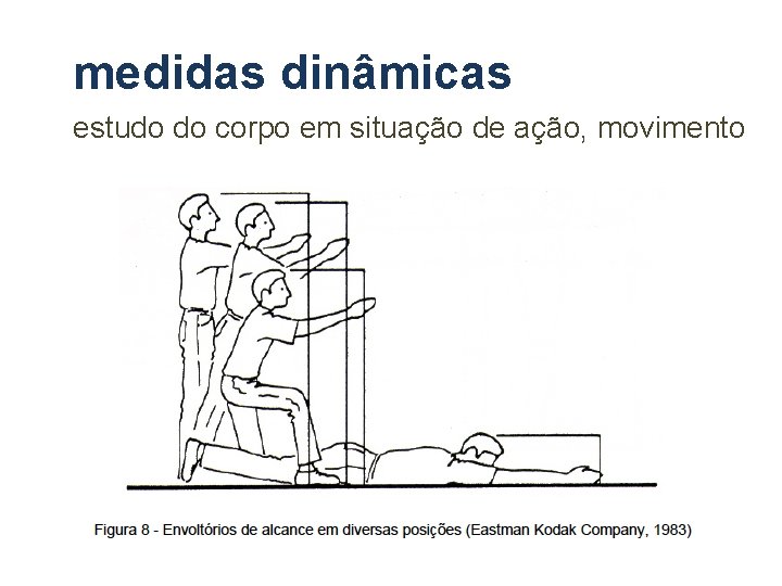 medidas dinâmicas estudo do corpo em situação de ação, movimento medidas dinâmicas estudo do corpo em situação de ação, movimento