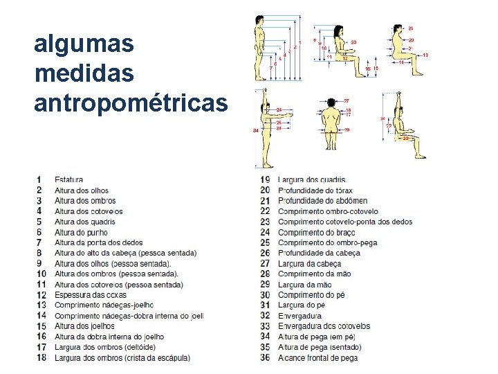 algumas medidas antropométricas algumas medidas antropométricas