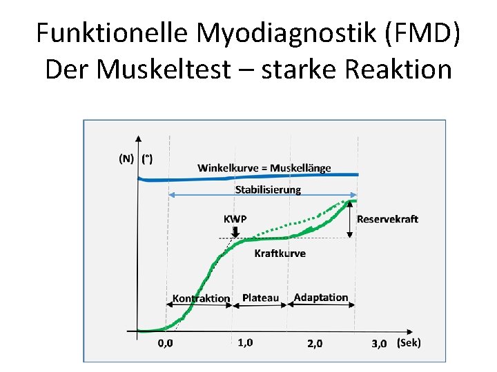 Funktionelle Myodiagnostik (FMD) Der Muskeltest – starke Reaktion 