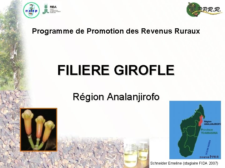 Programme de Promotion des Revenus Ruraux FILIERE GIROFLE Région Analanjirofo source PPRR 1 Schneider