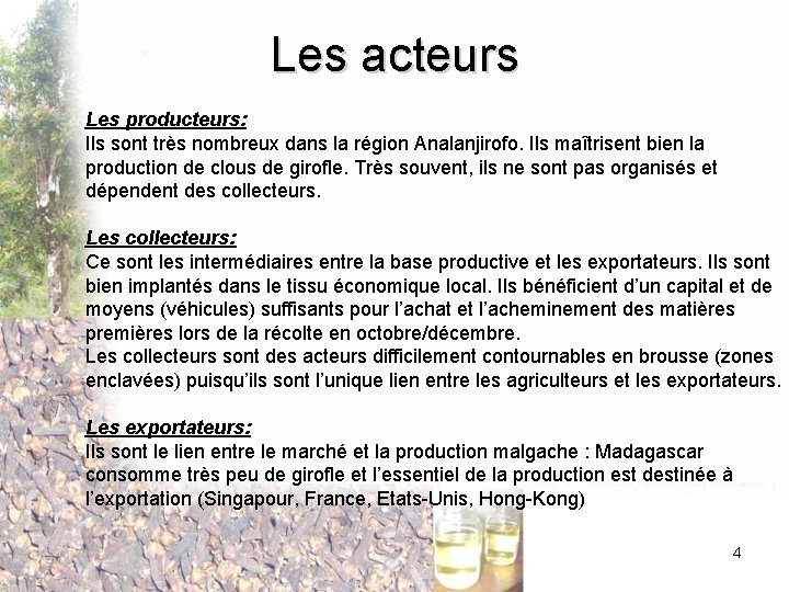 Les acteurs Les producteurs: Ils sont très nombreux dans la région Analanjirofo. Ils maîtrisent