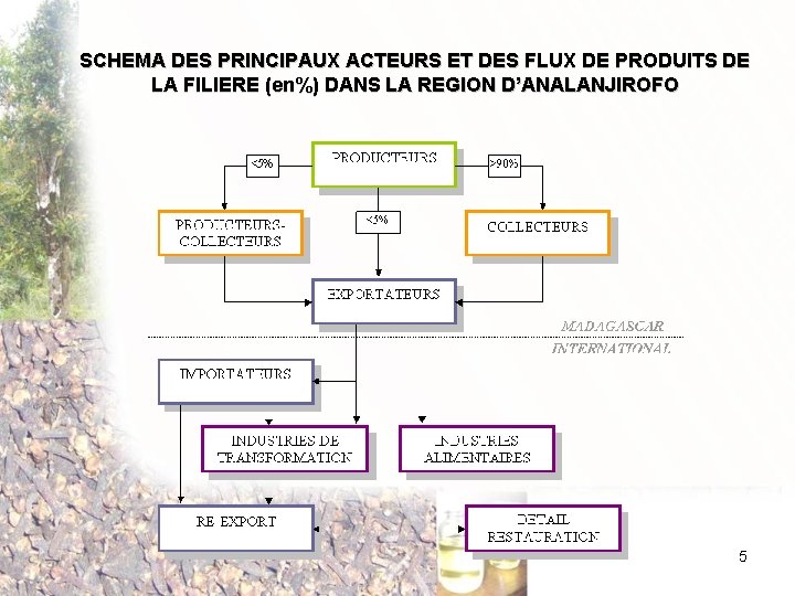 SCHEMA DES PRINCIPAUX ACTEURS ET DES FLUX DE PRODUITS DE LA FILIERE (en%) DANS