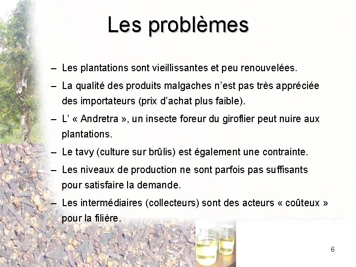 Les problèmes – Les plantations sont vieillissantes et peu renouvelées. – La qualité des