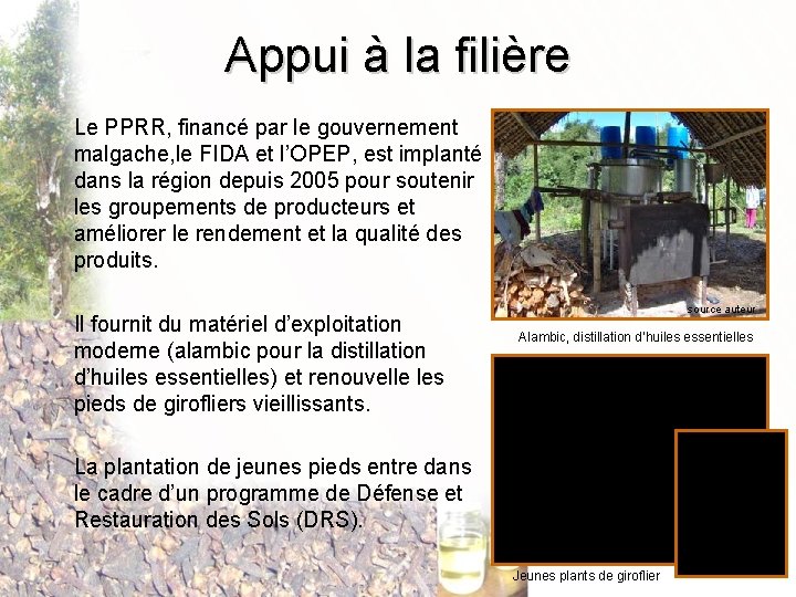 Appui à la filière Le PPRR, financé par le gouvernement malgache, le FIDA et