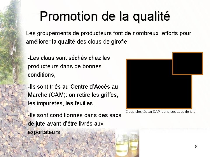 Promotion de la qualité Les groupements de producteurs font de nombreux efforts pour améliorer Promotion de la qualité Les groupements de producteurs font de nombreux efforts pour améliorer