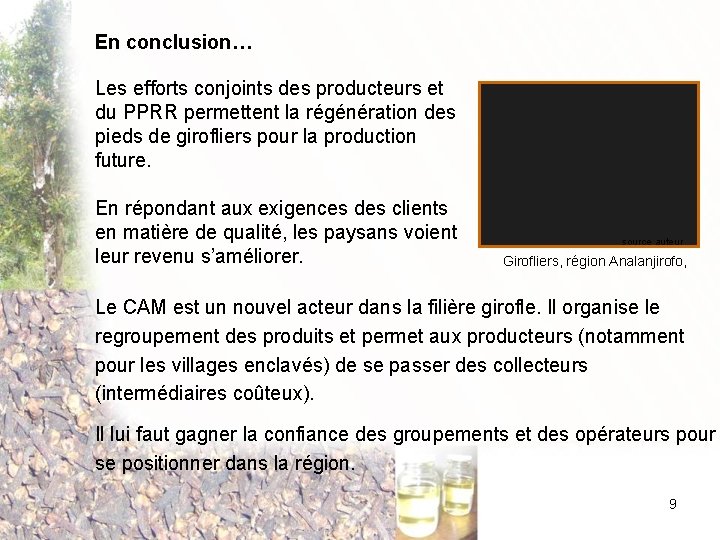 En conclusion… Les efforts conjoints des producteurs et du PPRR permettent la régénération des