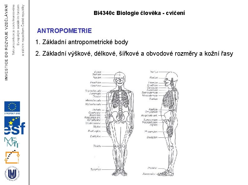 Bi 4340 c Biologie člověka - cvičení ANTROPOMETRIE 1. Základní antropometrické body 2. Základní