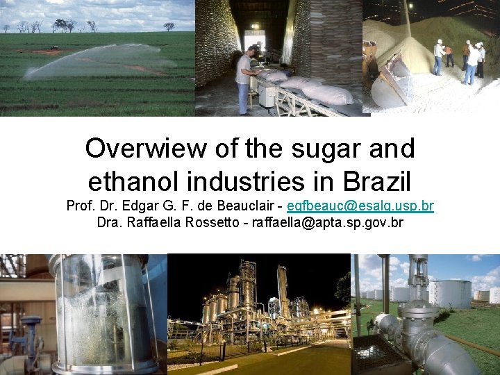 Overwiew of the sugar and ethanol industries in Brazil Prof. Dr. Edgar G. F.