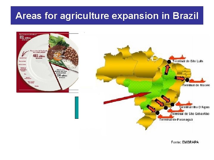Areas for agriculture expansion in Brazil 106 millions hectares for agriculture 