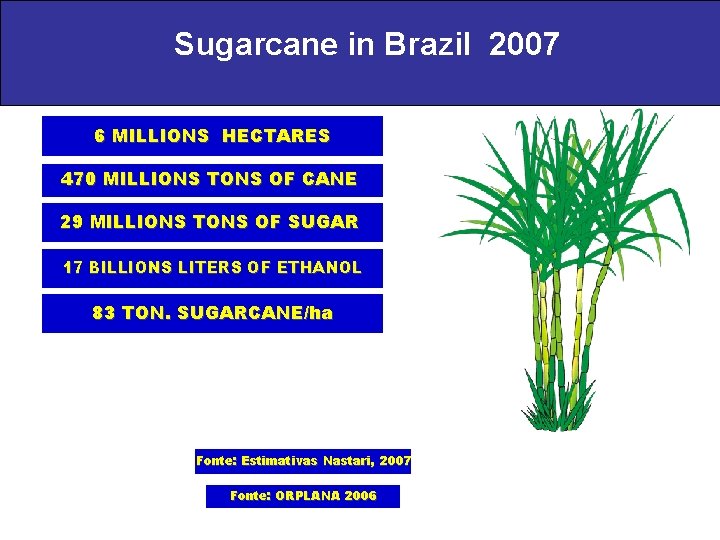 Sugarcane in Brazil 2007 6 MILLIONS HECTARES 470 MILLIONS TONS OF CANE 29 MILLIONS