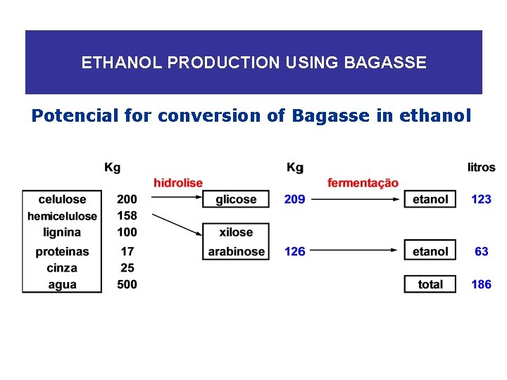 ETHANOL PRODUCTION USING BAGASSE Potencial for conversion of Bagasse in ethanol 