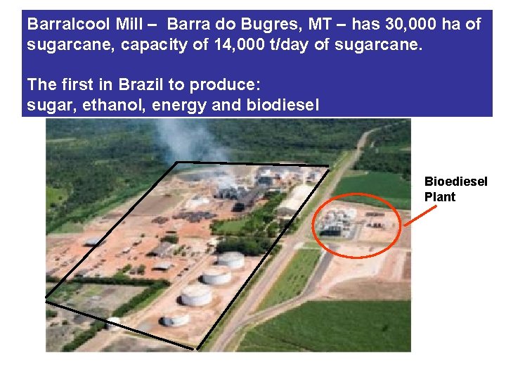 Barralcool Mill – Barra do Bugres, MT – has 30, 000 ha of sugarcane,