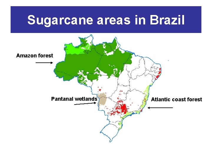 Sugarcane areas in Brazil Amazon forest Pantanal wetlands Atlantic coast forest 