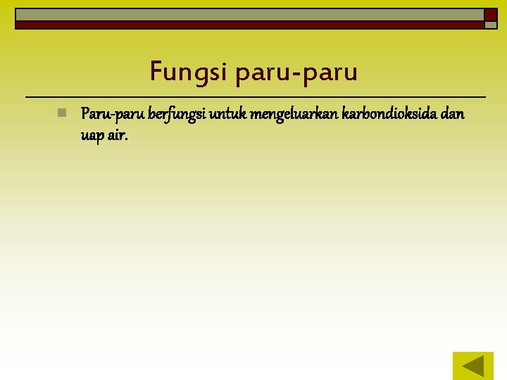Fungsi paru-paru n Paru-paru berfungsi untuk mengeluarkan karbondioksida dan uap air. 