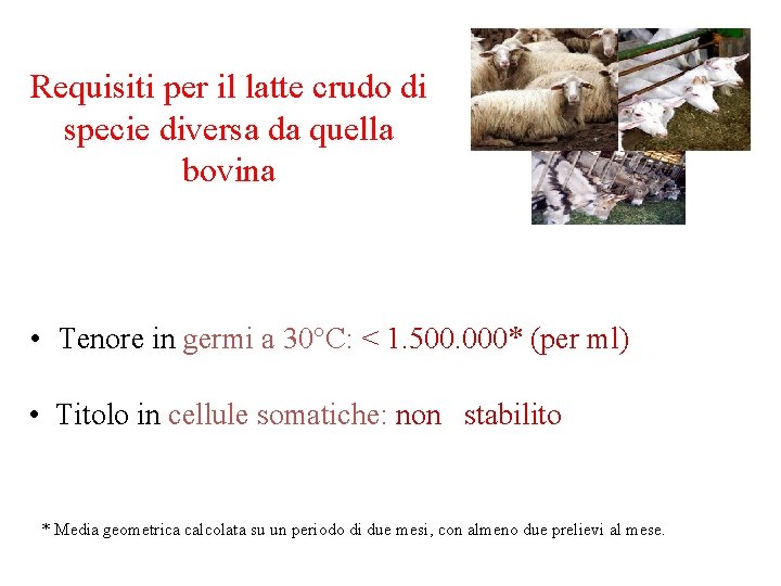 Requisiti per il latte crudo di specie diversa da quella bovina • Tenore in