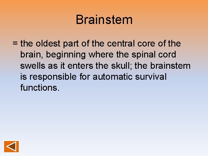 Brainstem = the oldest part of the central core of the brain, beginning where