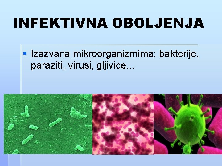 INFEKTIVNA OBOLJENJA § Izazvana mikroorganizmima: bakterije, paraziti, virusi, gljivice. . . 