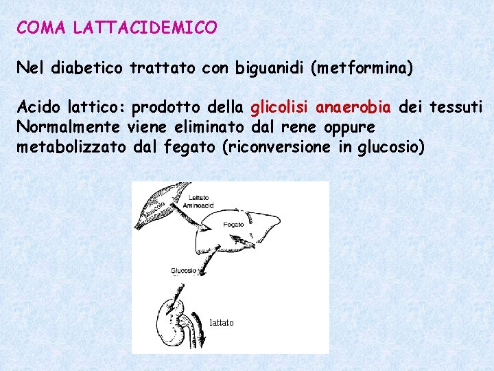 COMA LATTACIDEMICO Nel diabetico trattato con biguanidi (metformina) Acido lattico: prodotto della glicolisi anaerobia COMA LATTACIDEMICO Nel diabetico trattato con biguanidi (metformina) Acido lattico: prodotto della glicolisi anaerobia