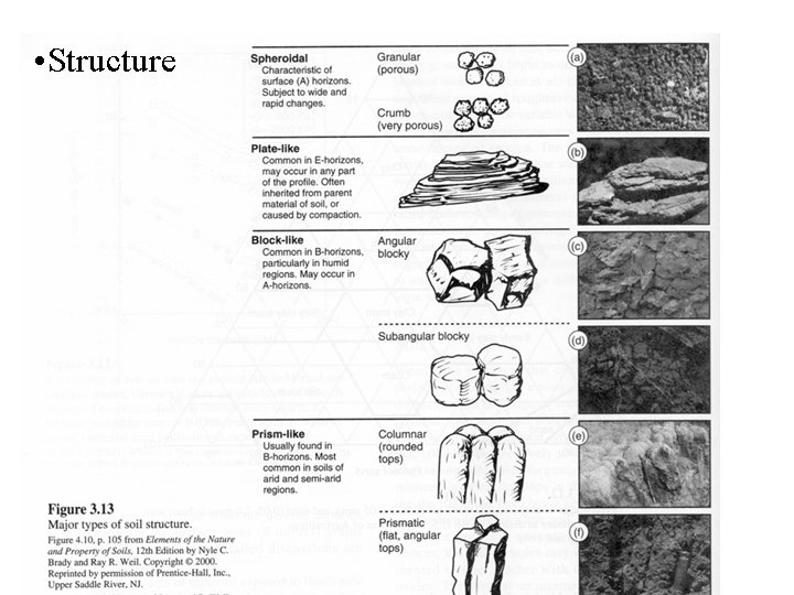  • Structure 