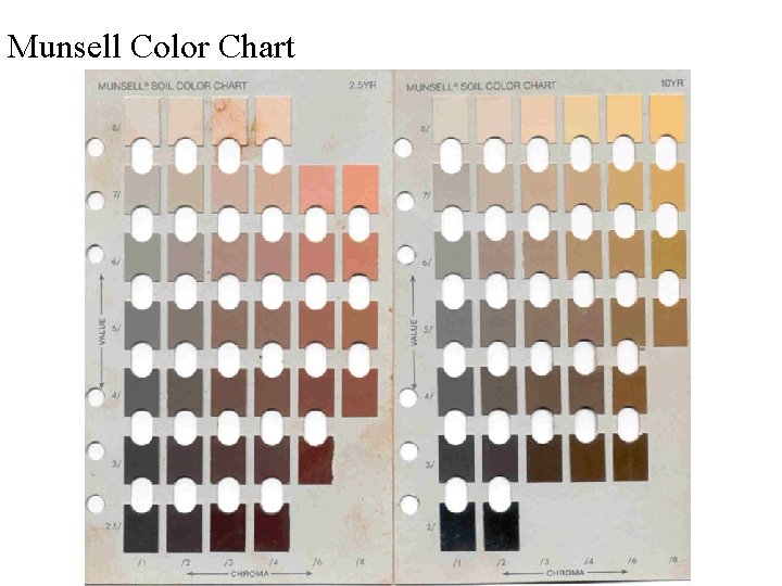 Munsell Color Chart 