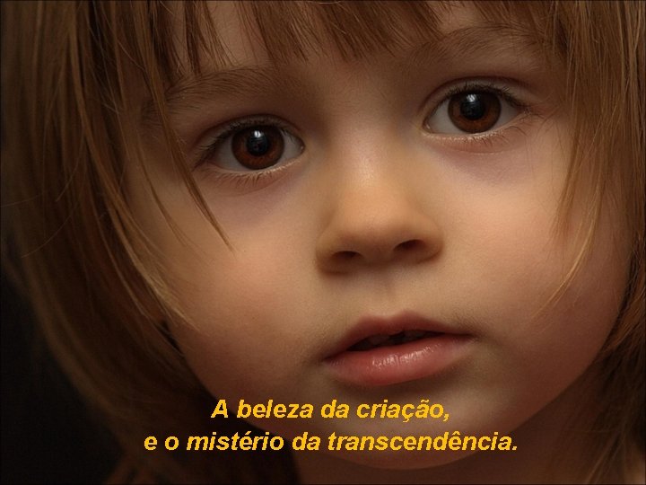 A beleza da criação, e o mistério da transcendência. 