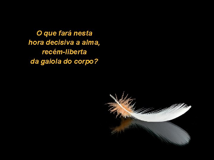 O que fará nesta hora decisiva a alma, recém-liberta da gaiola do corpo? 