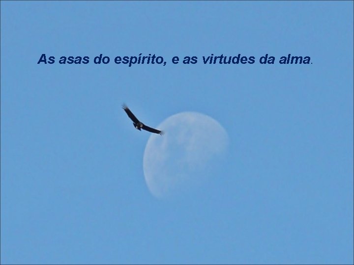 As asas do espírito, e as virtudes da alma. 