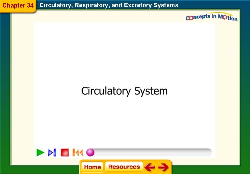 Chapter 34 Circulatory, Respiratory, and Excretory Systems 