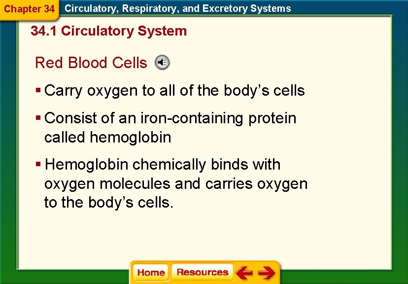 Chapter 34 Circulatory, Respiratory, and Excretory Systems 34. 1 Circulatory System Red Blood Cells