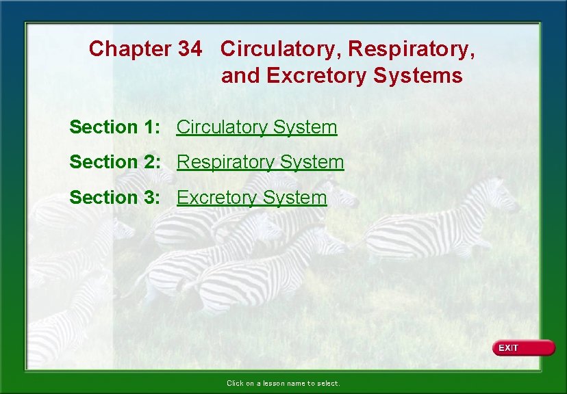 Chapter 34 Circulatory, Respiratory, and Excretory Systems Section 1: Circulatory System Section 2: Respiratory