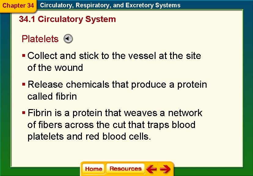 Chapter 34 Circulatory, Respiratory, and Excretory Systems 34. 1 Circulatory System Platelets § Collect