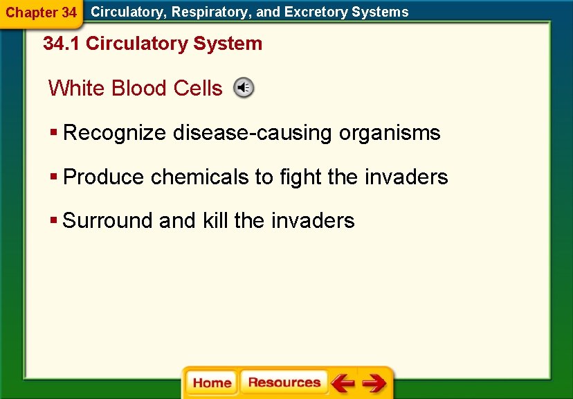 Chapter 34 Circulatory, Respiratory, and Excretory Systems 34. 1 Circulatory System White Blood Cells