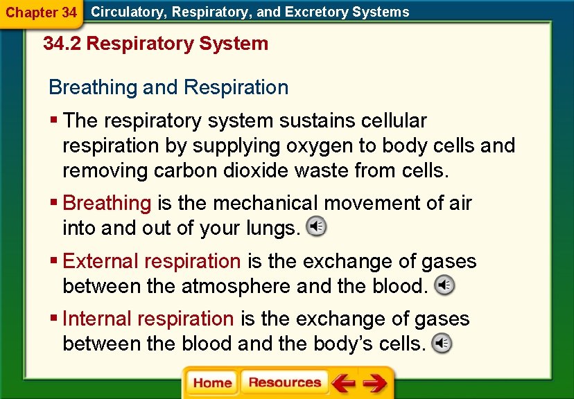 Chapter 34 Circulatory, Respiratory, and Excretory Systems 34. 2 Respiratory System Breathing and Respiration